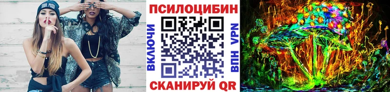 Псилоцибиновые грибы Psilocybe Геленджик